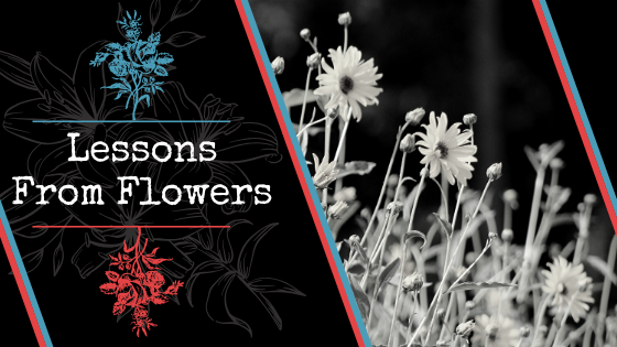 Lessons from Flowers